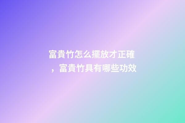 富貴竹怎么擺放才正確，富貴竹具有哪些功效